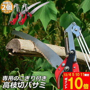 Ԍ!|Cg5{10{}؂oT~ 2Zbg [v }؂̂ }mRM }؂oT~ } y ͂ K[fjOpi  ʎ ̎ } nT~ 