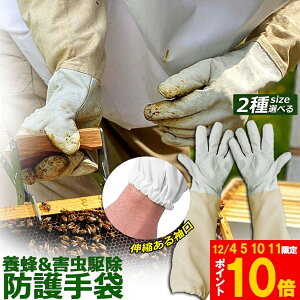 �����Ԍ���!�|�C���g5�{��10�{���y�����L���O��܁I�z �u�����L���O��܁I�v �{�I�p �h��O���[�u ��Ɨp��� �_�炩�r�v �K�[�f�j���O�O���[�u ���� �v��� ���|��� �t���[�T�C�Y �����O