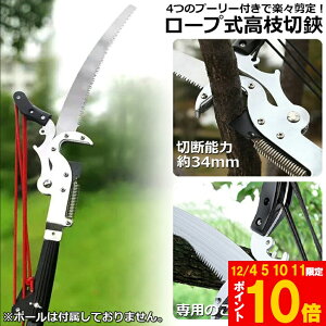 Ԍ!|Cg5{10{}؂oT~ }  }؂ }΂ [v }؂̂ }mRM }؂oT~ y ͂  ʎ ̎ } nT