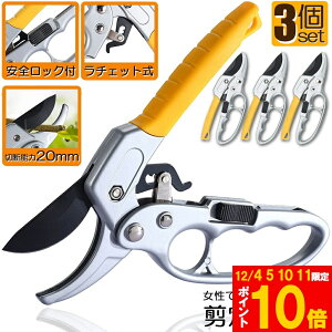 Ԍ!|Cg5{10{΂ `Fbg 3Zbg  |p͂ }؂΂ A~ `Fbg΂ ɂ y }  ~ 뉀 A  } K