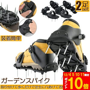 Ԍ!|Cg5{10{ŃXpCN K[fXpCN 2Zbg XpCNV[Y Ő XpCN   H  J@ GA[V@ J@ 琬   K[