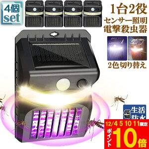 dE E \[[Cg 4Zbg led ZT[Cg 悯 Ɩ  gp\ _lZT[Cg  RoG K[fCg Lv Cg ledC