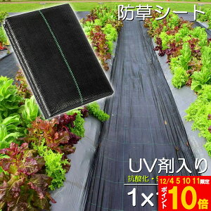 hV[g 10m X 1m V[g |pV[g GV[g UVܓ  _ ƒp |p  Gʐ  Y K[fjO ԏ ƒ؉ ϋvN3N lH G Ő DIY  