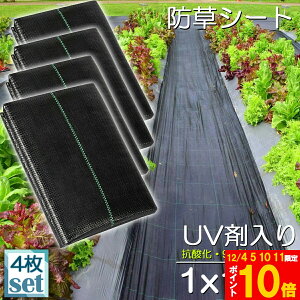 hV[g 10m X 1m 4Zbg V[g |pV[g GV[g UVܓ  _ ƒp |p  Gʐ  Y K[fjO ԏ ƒ؉ ϋvN3N lH G 