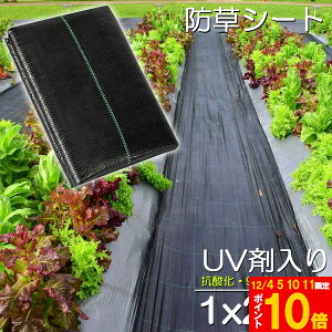 hV[g 20m X 1m V[g |pV[g GV[g UVܓ  _ ƒp |p  Gʐ  Y K[fjO ԏ ƒ؉ ϋvN3N lH G Ő DIY  