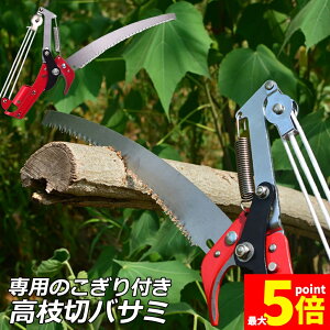 Ԍ!|Cg5{10{}؂oT~ [v }؂̂ }mRM }؂oT~ } y ͂ K[fjOpi  ʎ ̎ } nT~ | K[fj