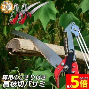 Ԍ!|Cg5{10{}؂oT~ 2Zbg [v }؂̂ }mRM }؂oT~ } y ͂ K[fjOpi  ʎ ̎ } nT~ 