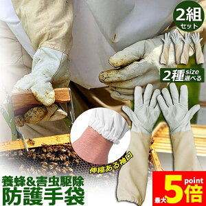 Ԍ!|Cg5{10{{Ip hO[u Ɨp _炩rv 2gZbg K[fjOO[u  v | t[TCY OO[u I Ȋ 쏜 Q쏜 