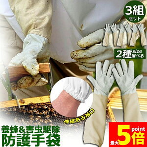 Ԍ!|Cg5{10{{Ip hO[u Ɨp _炩rv 3gZbg K[fjOO[u  v | t[TCY OO[u I Ȋ 쏜 Q쏜 