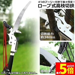 Ԍ!|Cg5{10{}؂oT~ }  }؂ }΂ [v }؂̂ }mRM }؂oT~ y ͂  ʎ ̎ } nT