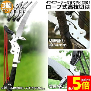 Ԍ!|Cg5{10{}؂oT~ } 3Zbg  }؂ }΂ [v }؂̂ }mRM }؂oT~ y ͂  ʎ ̎