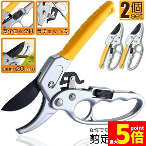 Ԍ!|Cg5{10{΂ `Fbg 2Zbg  |p͂ }؂΂ A~ `Fbg΂ ɂ y }  ~ 뉀 A  } K