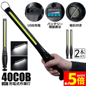 Ԍ!|Cg5{10{Ɠ LED [NCg 2Zbg USB[d 450[ COBCg d 360°] tbN }Olbg Ct iKPx XCb` ً}pƖ dp