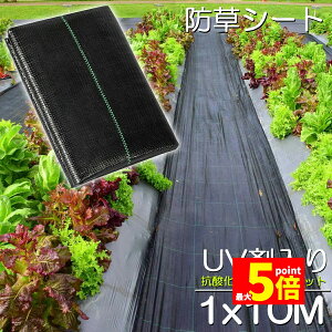 Ԍ!|Cg5{10{hV[g 10m X 1m V[g |pV[g GV[g UVܓ  _ ƒp |p  Gʐ  Y K[fjO ԏ ƒ؉ ϋvN