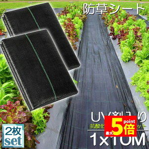 Ԍ!|Cg5{10{hV[g 10m X 1m 2Zbg V[g |pV[g GV[g UVܓ  _ ƒp |p  Gʐ  Y K[fjO ԏ ƒ