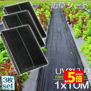 Ԍ!|Cg5{10{hV[g 10m X 1m 3Zbg V[g |pV[g GV[g UVܓ  _ ƒp |p  Gʐ  Y K[fjO ԏ ƒ