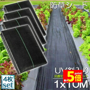 Ԍ!|Cg5{10{hV[g 10m X 1m 4Zbg V[g |pV[g GV[g UVܓ  _ ƒp |p  Gʐ  Y K[fjO ԏ ƒ