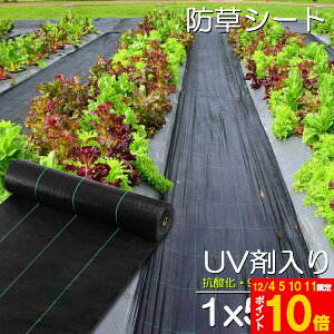 hV[g 50m X 1m V[g |pV[g GV[g UVܓ  _ ƒp |p  Gʐ  Y K[fjO ԏ ƒ؉ ϋvN3N lH G Ő DIY  