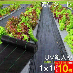 hV[g 100m X 1m V[g |pV[g GV[g UVܓ  _ ƒp |p  Gʐ  Y K[fjO ԏ ƒ؉ ϋvN3N lH G Ő DIY  