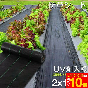 hV[g 100m X 2m V[g |pV[g GV[g UVܓ  _ ƒp |p  Gʐ  Y K[fjO ԏ ƒ؉ ϋvN3N lH G Ő DIY  