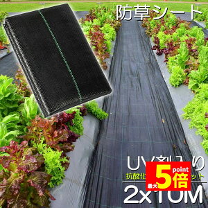 Ԍ!|Cg5{10{hV[g 10m X 2m V[g |pV[g GV[g UVܓ  _ ƒp |p  Gʐ  Y K[fjO ԏ ƒ؉ ϋvN