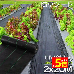 Ԍ!|Cg5{10{hV[g 20m X 2m V[g |pV[g GV[g UVܓ  _ ƒp |p  Gʐ  Y K[fjO ԏ ƒ؉ ϋvN