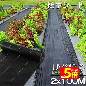 Ԍ!|Cg5{10{hV[g 100m X 2m V[g |pV[g GV[g UVܓ  _ ƒp |p  Gʐ  Y K[fjO ԏ ƒ؉ ϋvN