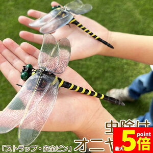 Ԍ!|Cg5{10{Ij}  ΍ Sst Xgbvt g{ 悯͌^ Xqdrsv iȂ nG  Q I L[z_[ qp  A