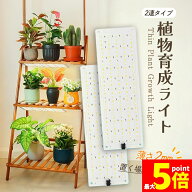 ★期間限定！最大20％OFF★LED植物育成ライト 植物育成ライト 2連 2枚 薄型 板状 板 パネル 5段階調光 LE…