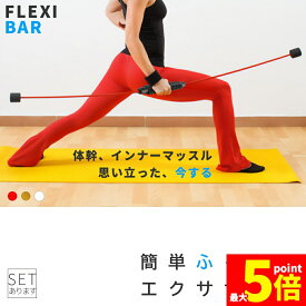 ★期間限定！ポイント5倍★エクササイズバー フィットネス トレーニング シェイプアップバー 筋トレ 3カラー セットあります 筋力トレーニング フィットネスバー トレーニングバー 運動不足解消 脂肪燃焼 振る 全身 大胸筋 三角筋 背筋 腹