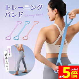 ★期間限定!ポイント5倍＆10倍★トレーニングチューブ チューブトレーニング ゴムバンド 筋トレチューブ エクササイズバンド 筋トレ トレーニング ストレッチ グッズ 自宅 背筋 肩 フィットネス ストレッチバンド フィットネスバンド エク