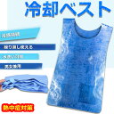 冷却ベスト 水冷 クールベスト 冷感ベスト 空調服 物理冷却 熱中症 猛暑対策 冷却服 ひんやりグッズ 保冷 工事現場 工…