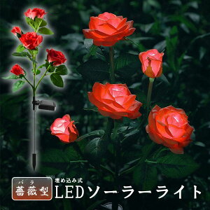 O \[[Cg K[fCg 胉Cg ߍݎ h  ZT[ LEDK[fCg ԏ   Ő 5փ[YCg o KN K[fjO t[ GNXe