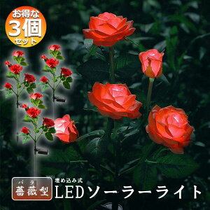 O \[[Cg K[fCg 胉Cg 3Zbg ߍݎ h  ZT[ LEDK[fCg ԏ   Ő 5փ[YCg o KN K[fjO GNX