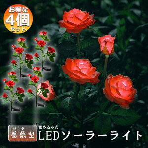 O \[[Cg K[fCg 胉Cg 4Zbg ߍݎ h  ZT[ LEDK[fCg ԏ   Ő 5փ[YCg o KN K[fjO GNX