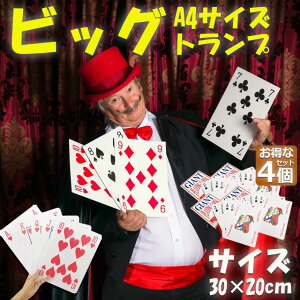 gv rbN gv ^ 傫 A4TCY gv gvJ[h   Vlz[ NG[V i oo x 唗 v[g Cxg p[eBQ[Ȃ