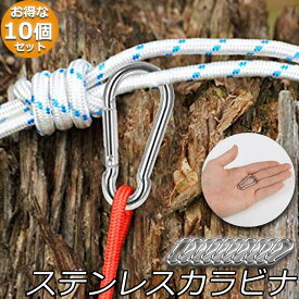 カラビナ 304ステンレス スプリングフック アウトドア ステンレス製 旅行 用品 釣り トレッキング カラビナステンレス 軽量 落下防止