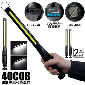 Ɠ LED [NCg 2Zbg USB[d 450[ COBCg d 360°] tbN }Olbg Ct iKPx XCb` ً}pƖ dp ԏC ԍ  O AE