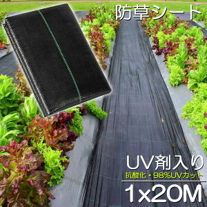 hV[g 20m X 1m V[g |pV[g GV[g UVܓ  _ ƒp |p  Gʐ  Y K[fjO ԏ ƒ؉ ϋvN3N lH G Ő DIY  