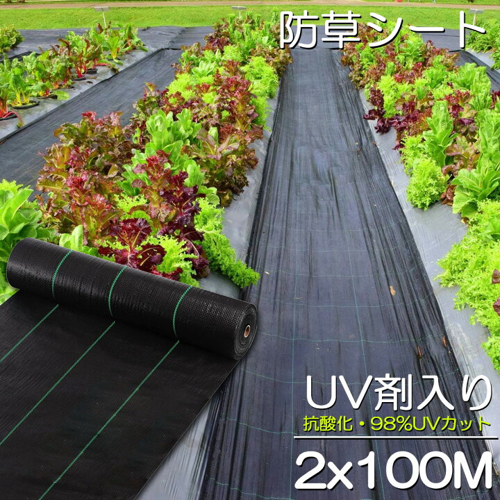 楽天市場】防草シート 100m X 2m 除草シート 園芸用シート 雑草シート 