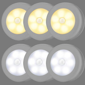 lZT[Cg dr tbgCg ^ LEDCg  xbhTChv ÃZT[ d h ΍ }Olbgt Lb` L Ki  {I N[[bg ɓKp ڂ