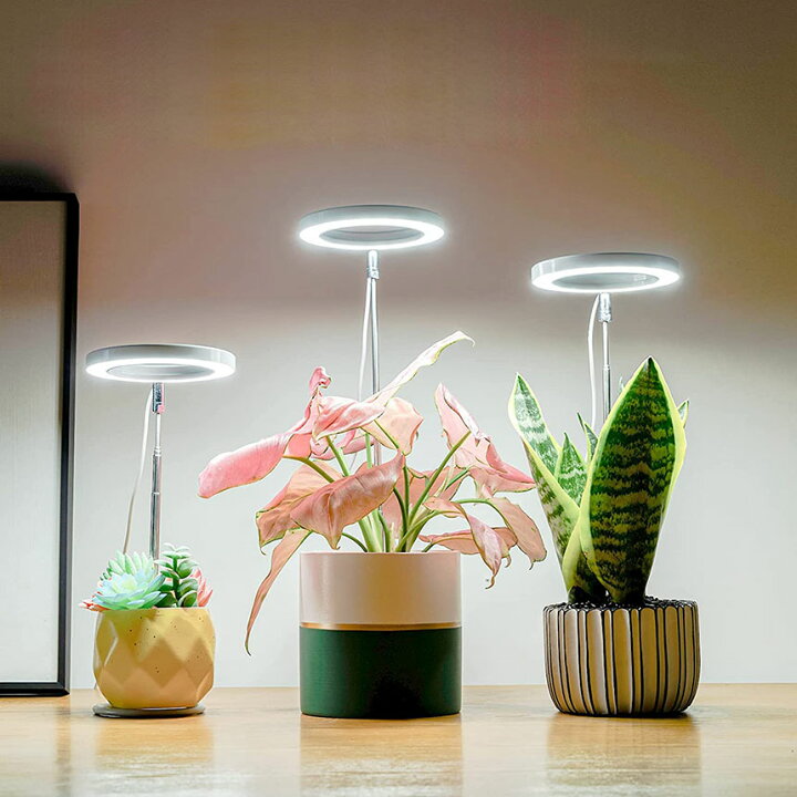楽天市場】LED植物育成ライト 植物育成ライト 鉢植えに差し込む 4段階 