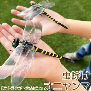 Ij}  ΍ Sst Xgbvt g{ 悯͌^ Xqdrsv iȂ nG  Q I L[z_[ qp  AEghA Lv ނ p