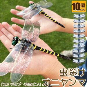 Ij}  ΍ Sst Xgbvt 10Zbg g{ 悯͌^ Xqdrsv iȂ nG  Q I L[z_[ qp  AEghA Lv 