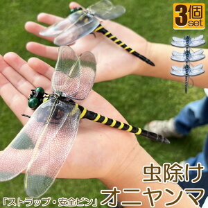 Ij}  ΍ Sst Xgbvt 3Zbg g{ 悯͌^ Xqdrsv iȂ nG  Q I L[z_[ qp  AEghA Lv 