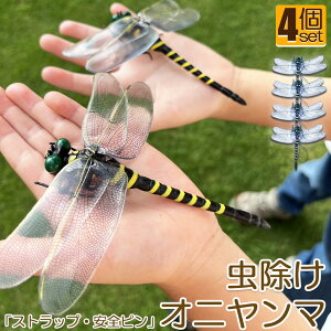 Ij}  ΍ Sst Xgbvt 4Zbg g{ 悯͌^ Xqdrsv iȂ nG  Q I L[z_[ qp  AEghA Lv 