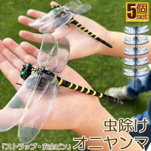 Ij}  ΍ Sst Xgbvt 5Zbg g{ 悯͌^ Xqdrsv iȂ nG  Q I L[z_[ qp  AEghA Lv 