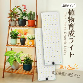 LED植物育成ライト 植物育成ライト 2連 2枚 薄型 板状 板 パネル 5段階調光 LED 植物ライト 植物育成ランプ 観葉植物用ライト 室内栽培ランプ 定時機能 タイマー 高輝度 育苗ライト 観葉植物 多肉植物 効果 フルスペクトル プラントライト 省エネ 長寿命 家庭菜園 園芸用品