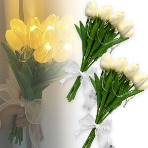 Ԍ!|Cg5{10{`[bv t[Cg 3FIׂ  LED CeA Cg ԑ  t[ [Cg u[P u[PCg uU[ht[ uU[uht