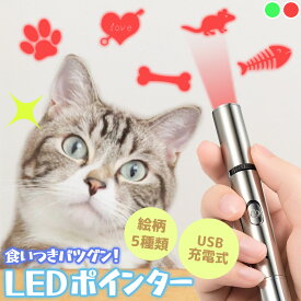 猫 おもちゃ 猫じゃらし ポインター LEDポインター USB充電 充電式 ライト ねこ ネコ ペット 猫用品 グッズ 遊び道具 ねこじゃらし 光るおもちゃ 運動不足 ストレス解消 肉球 かわいい ペンライト コンパクト 小型 緑 赤 グリーン レッド